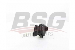 BSG 60550014 Radyatör Yedek Su Deposu