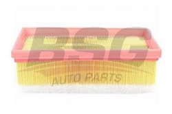 BSG 70135002 Hava Filtresi