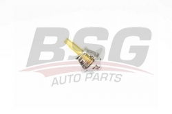 BSG 60125004 Termostat
