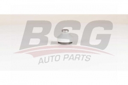 BSG 75310041 Rotil Alt