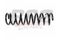 BSG 30305018 Helezon Yayı Arka