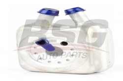 BSG 90506001 Yağ Soğutucusu