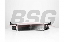 BSG 65535012 Turbo Radyatörü
