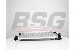 BSG 65520039 Su Radyatörü