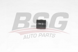 BSG 70720208 Turbo Hortumu
