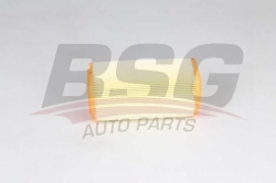 BSG 70135018 Hava Filtresi
