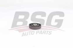 BSG 75615005 V Kayış Gergi Rulmanı