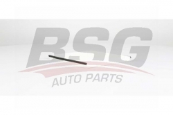 BSG 75145007 Polen Filtresi