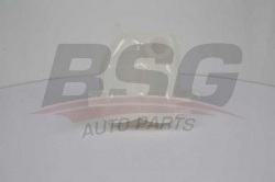 BSG 30550003 Radyatör Yedek Su Deposu
