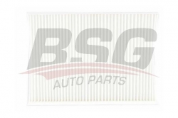 BSG 40145010 Polen Filtresi