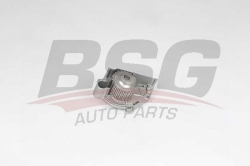 BSG 15500034 Devirdaim