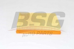 BSG 70135011 Hava Filtresi