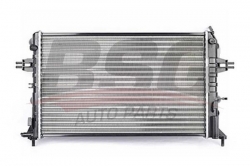 BSG 65520013 Su Radyatörü