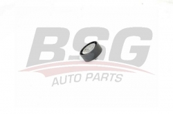 BSG 60615030 V Kayış Gergi Rulmanı