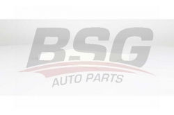 BSG 75145011 Polen Filtresi