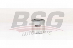 BSG 40130014 Yakıt Filtresi