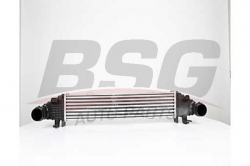 BSG 60535004 Turbo Radyatörü