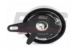 BSG 90615037 Eksantrik Gergi Rulmanı