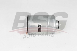 BSG 40130020 Yakıt Filtresi