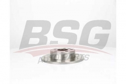 BSG 30210046 Fren Diski Arka