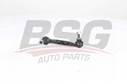 BSG 15310191 Viraj Askı Rotu Arka