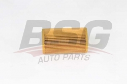 BSG 60140007 Yağ Filtresi