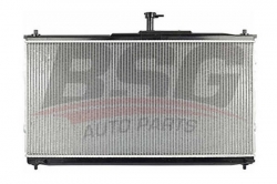 BSG 40520029 Su Radyatörü