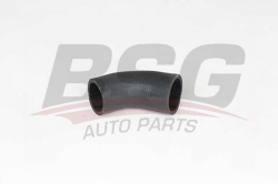 BSG 65700350 Turbo Hortumu