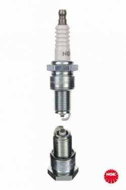 NGK 4691 Buji
