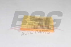 BSG 65135024 Hava Filtresi