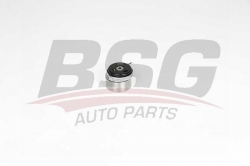 BSG 65615042 Eksantrik Gergi Rulmanı