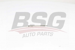 BSG 90870008 Isıtma Bujisi