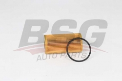 BSG 30140011 Yağ Filtresi