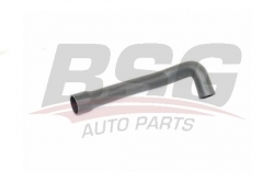 BSG 25720037 Turbo Hortumu