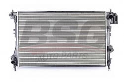 BSG 65520009 Su Radyatörü