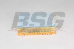 BSG 75135024 Hava Filtresi