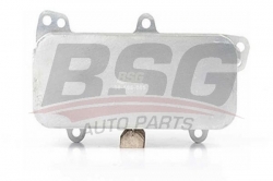BSG 90506005 Yağ Soğutucusu