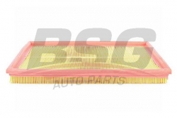 BSG 65135003 Hava Filtresi
