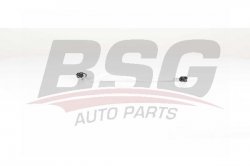 BSG 60725021 Yakıt Hortumu