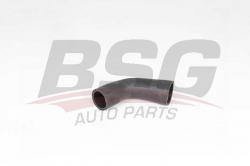 BSG 65700343 Turbo Hortumu