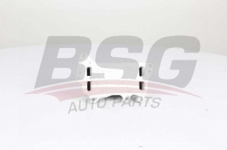 BSG 15506015 Yağ Radyatörü