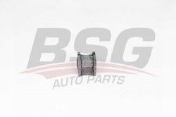 BSG 75700050 Viraj Demir Lastiği Arka