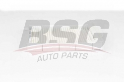 BSG 75145002 Polen Filtresi