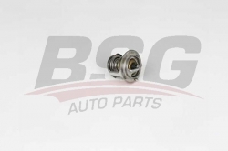 BSG 40126001 Termostat