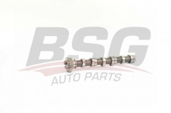 BSG 90108011 Eksantrik Mili