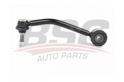 BSG 90310113 Viraj Askı Rotu Arka Sağ