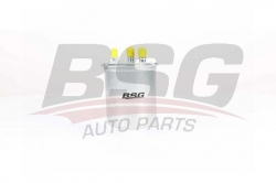 BSG 75130002 Yakıt Filtresi