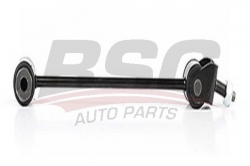 BSG 60310192 Viraj Askı Rotu Arka Sağ