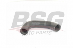 BSG 25720032 Turbo Hortumu