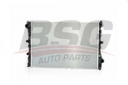 BSG 60520042 Su Radyatörü